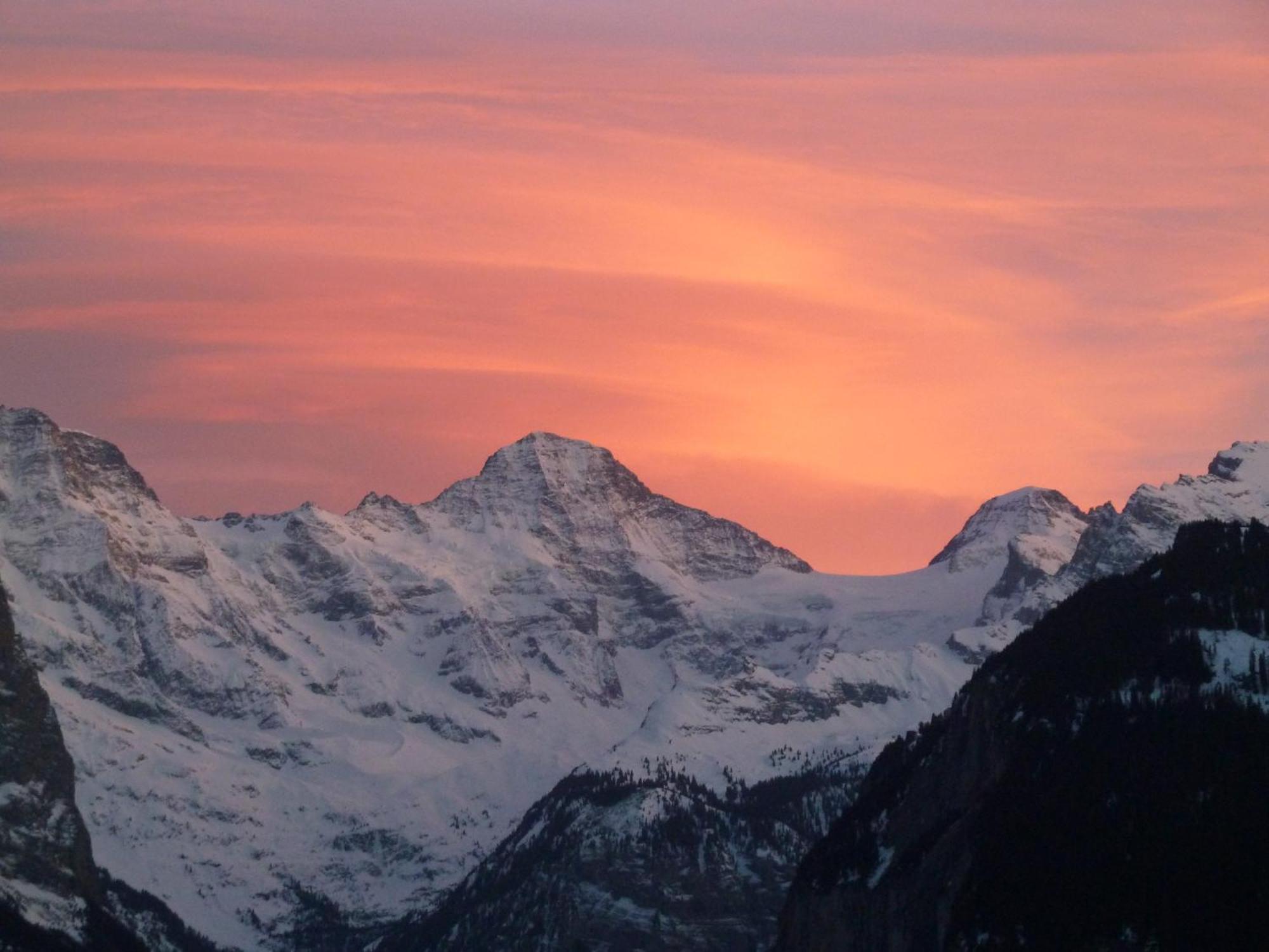 Chalet Protea Wengen Bagian luar foto