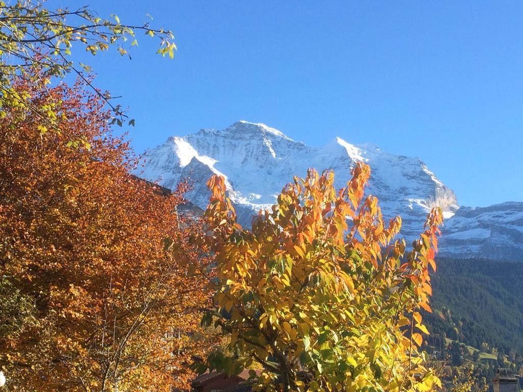 Chalet Protea Wengen Ruang foto