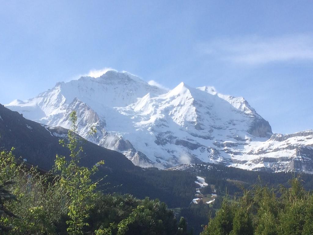 Chalet Protea Wengen Ruang foto