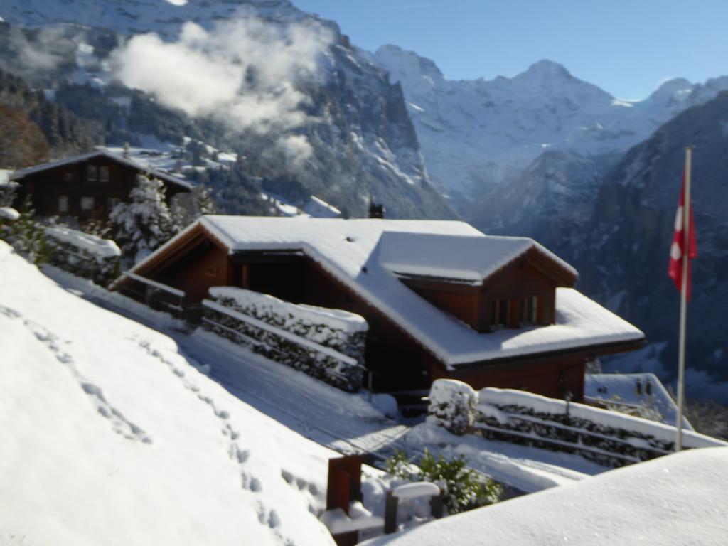Chalet Protea Wengen Bagian luar foto