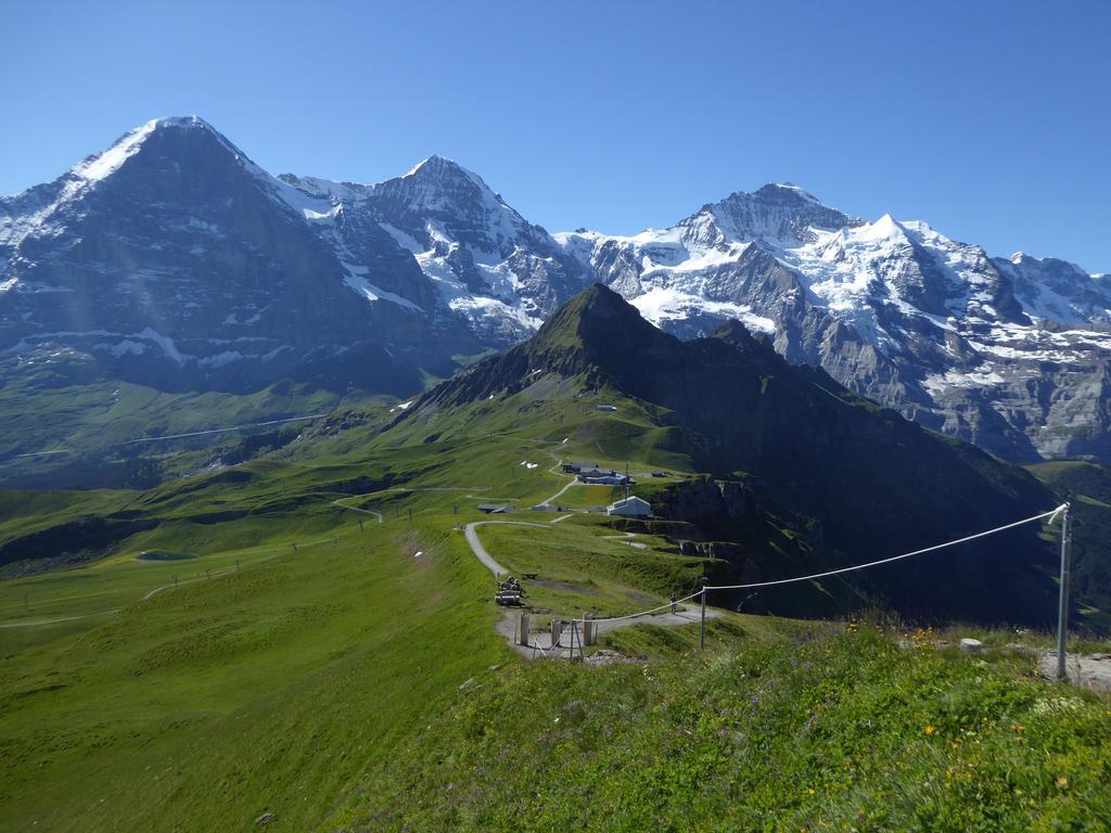 Chalet Protea Wengen Bagian luar foto